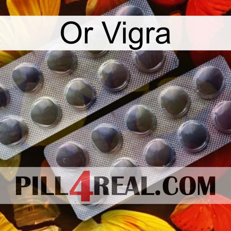 Gold Vigra 31